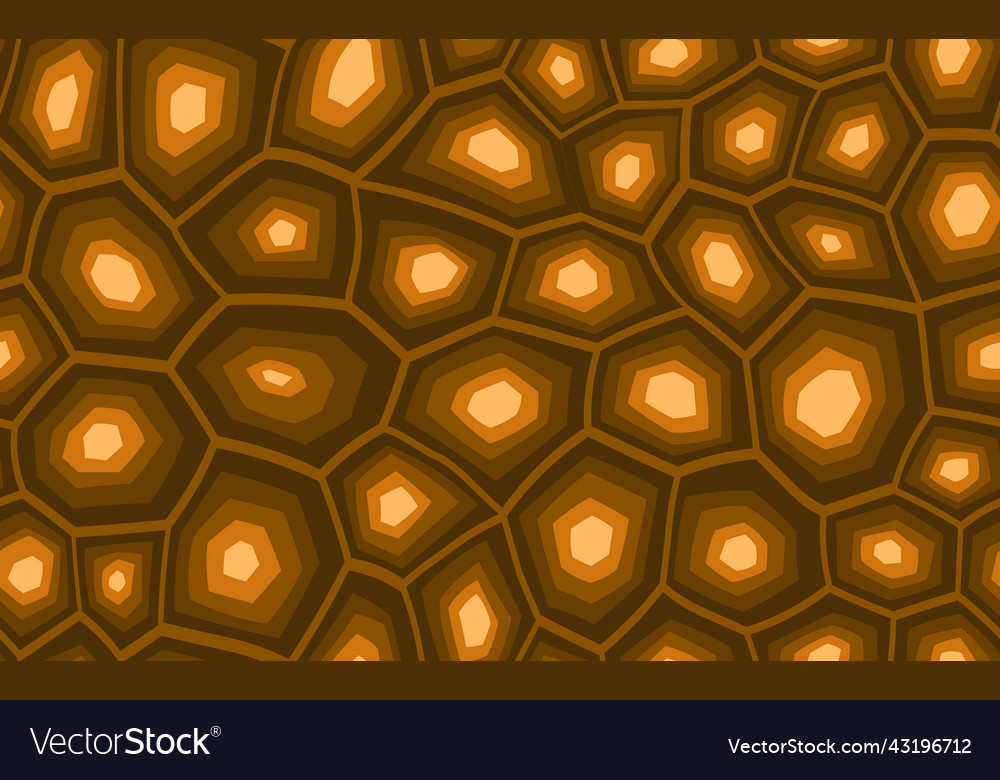 Abstract Turtle Shell Pattern