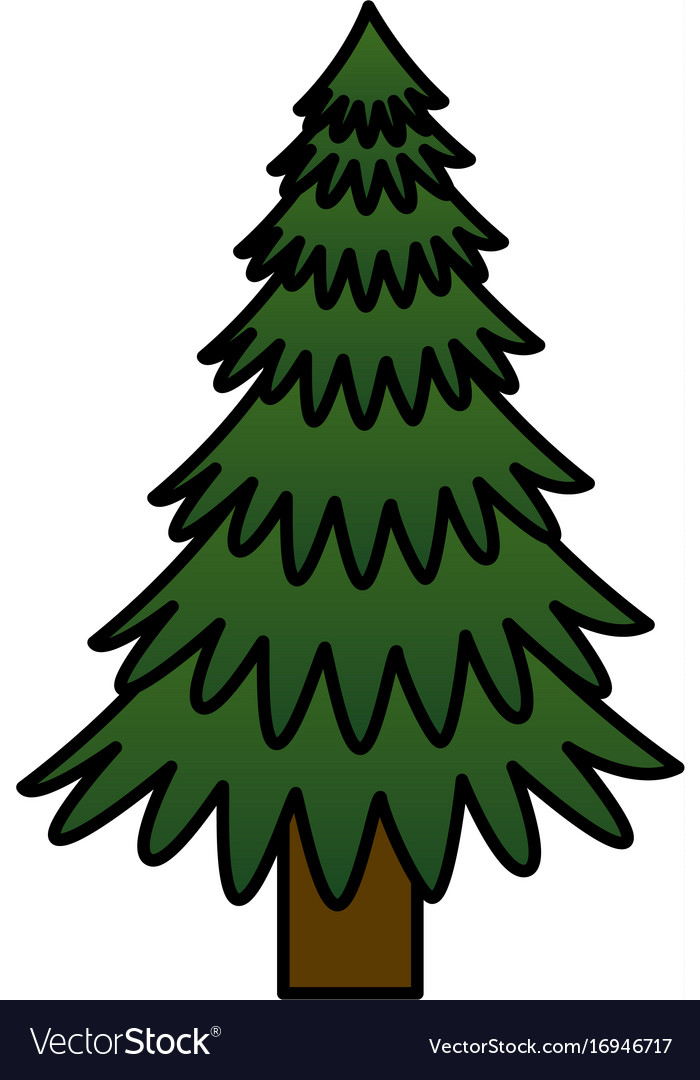Pine tree isolated icon