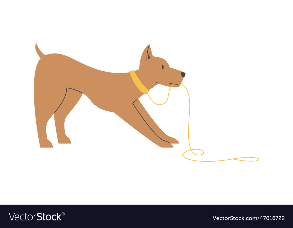 Dog pulling leash Royalty Free Vector Image VectorStock