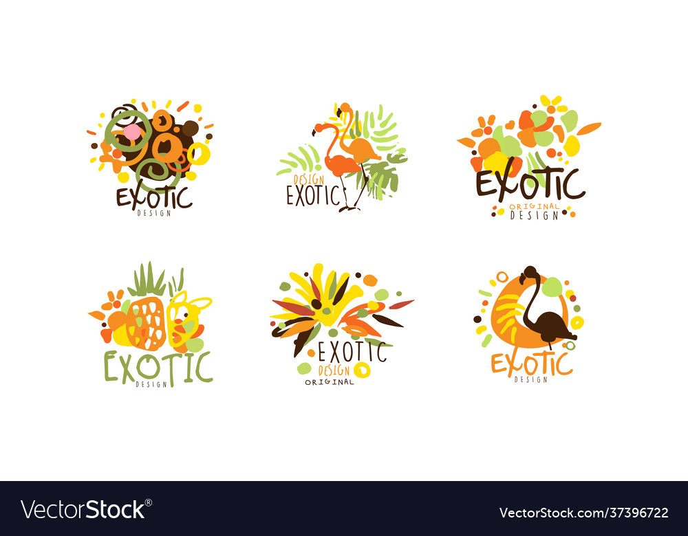 Exotic logo original design collection summer Vector Image