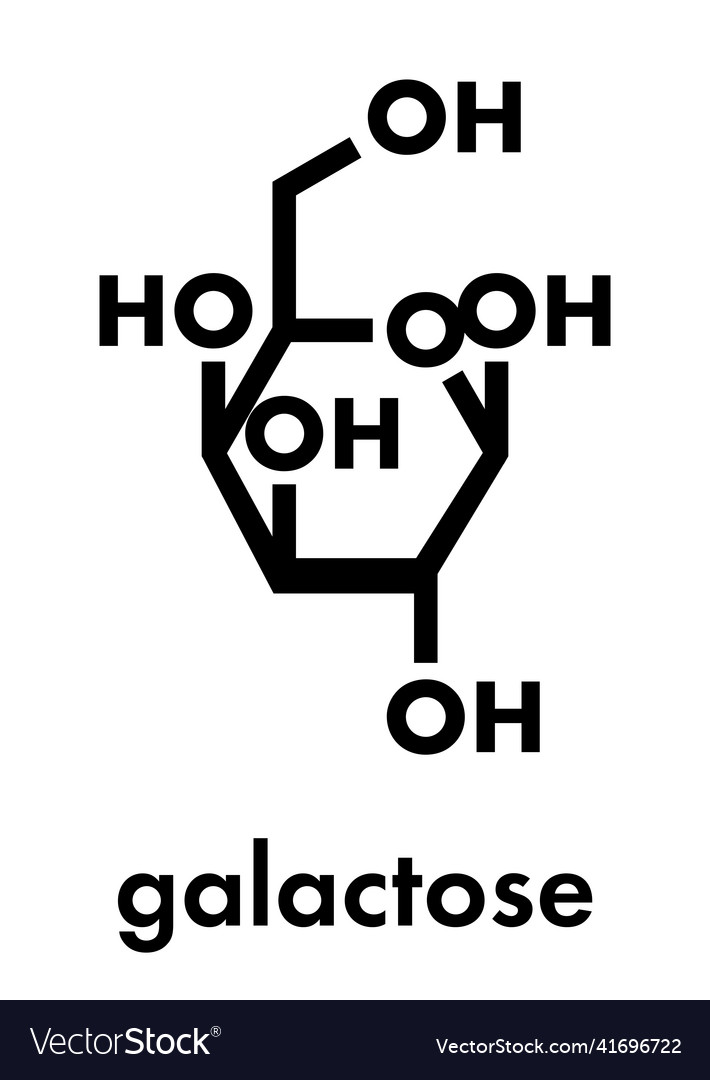 Galactose Sugar Molecule Present In Milk Vector Image 2048