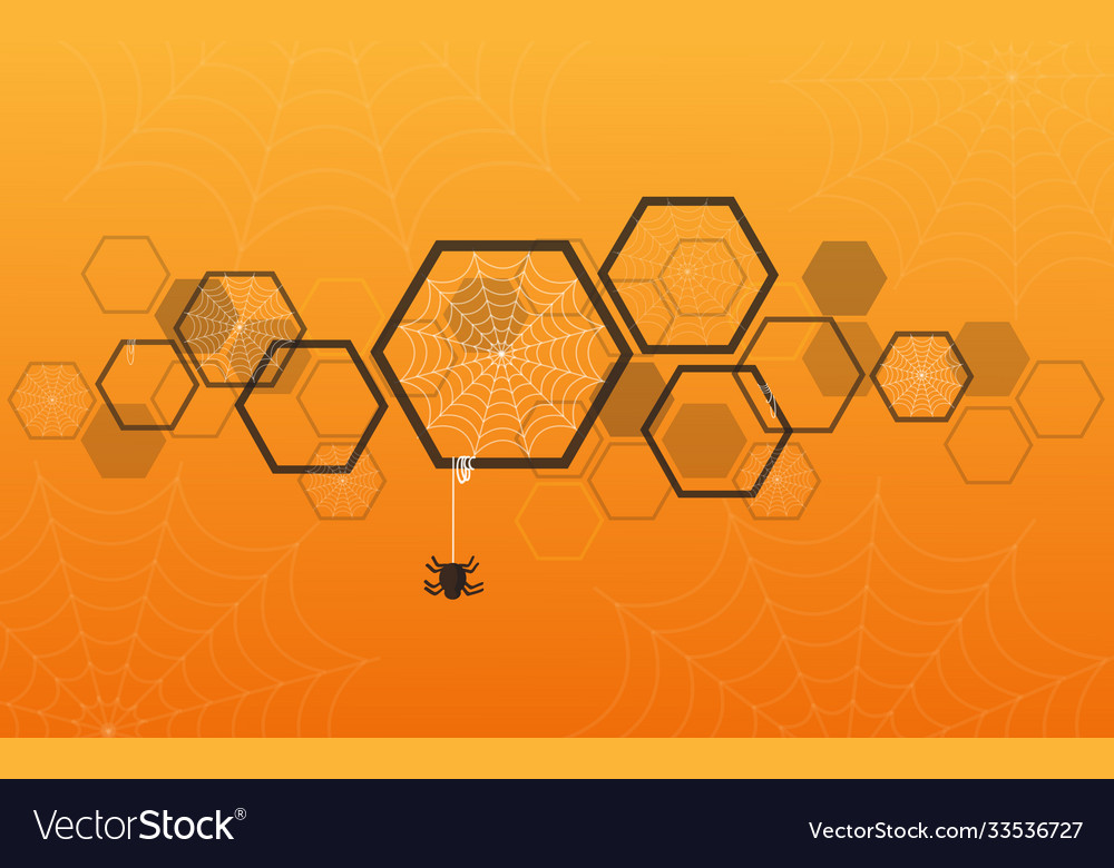 Spider web in hexagon background vector image Spider web in hexagon background
