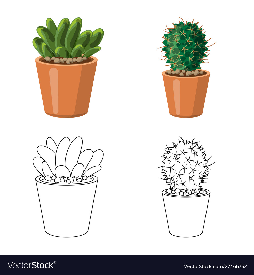 Isolated object cactus and pot symbol set