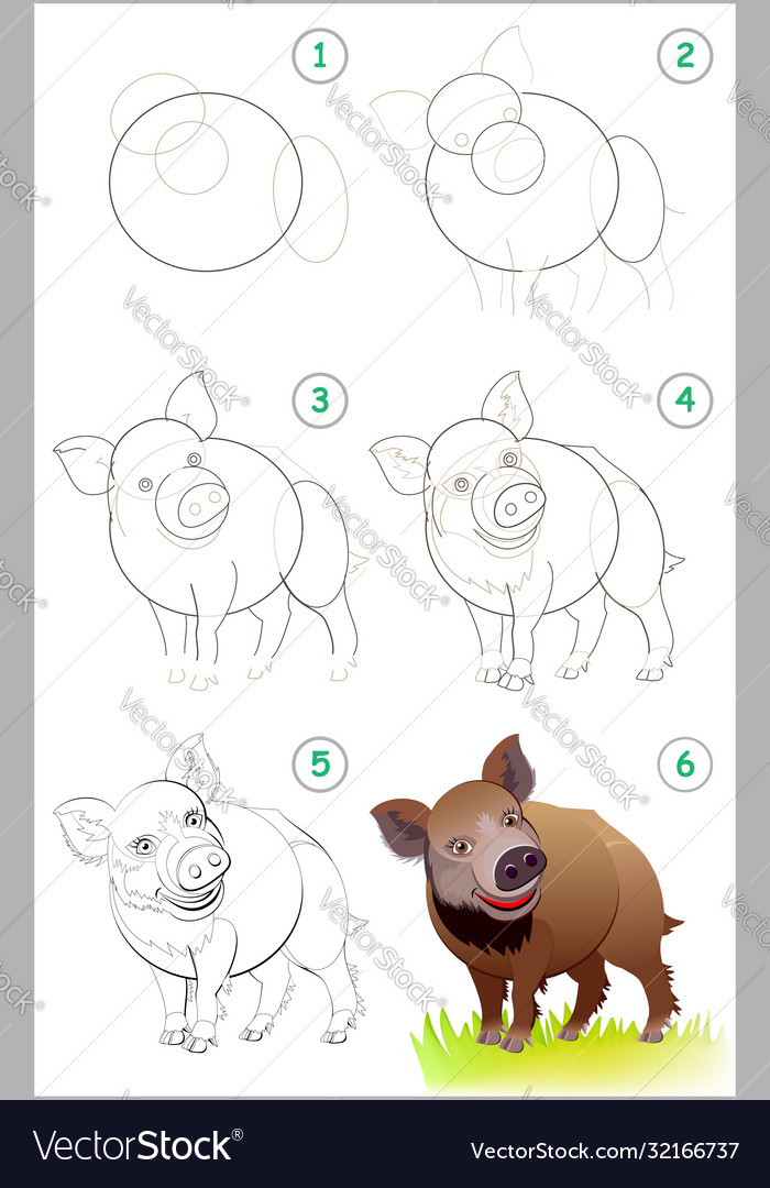 Page shows how to learn step draw Vector Image Page shows how to learn step draw