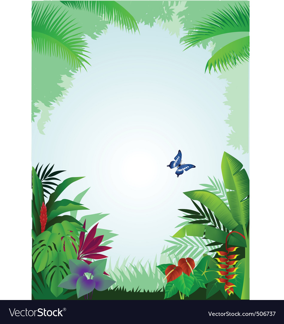 Tropical forest background