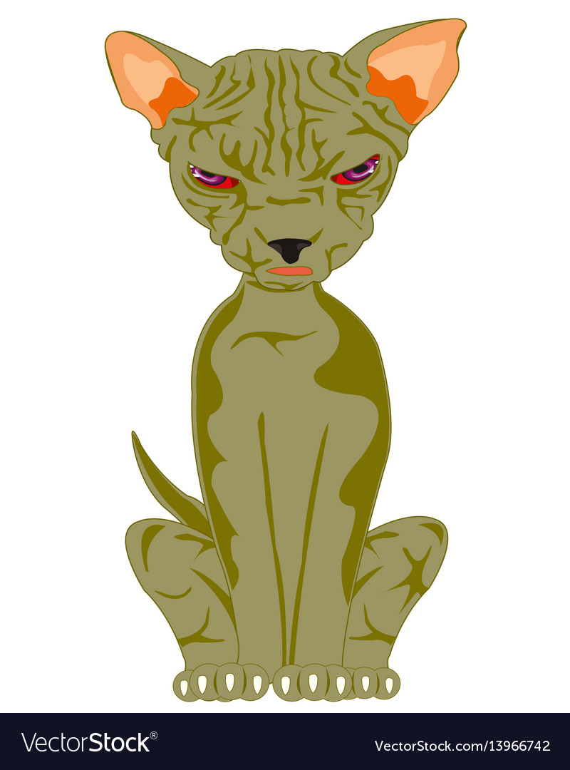 Cat of the sort sphinx