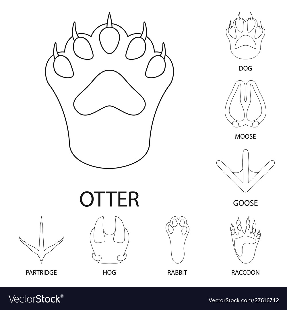 Isolated object foot and footprint symbol set vector image Isolated object foot and footprint symbol set