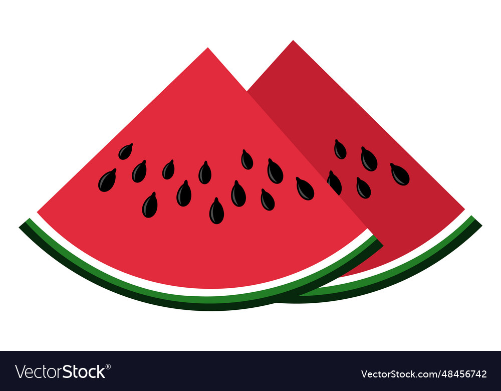 Watermelon slice icon sweet red juicy fruit Vector Image