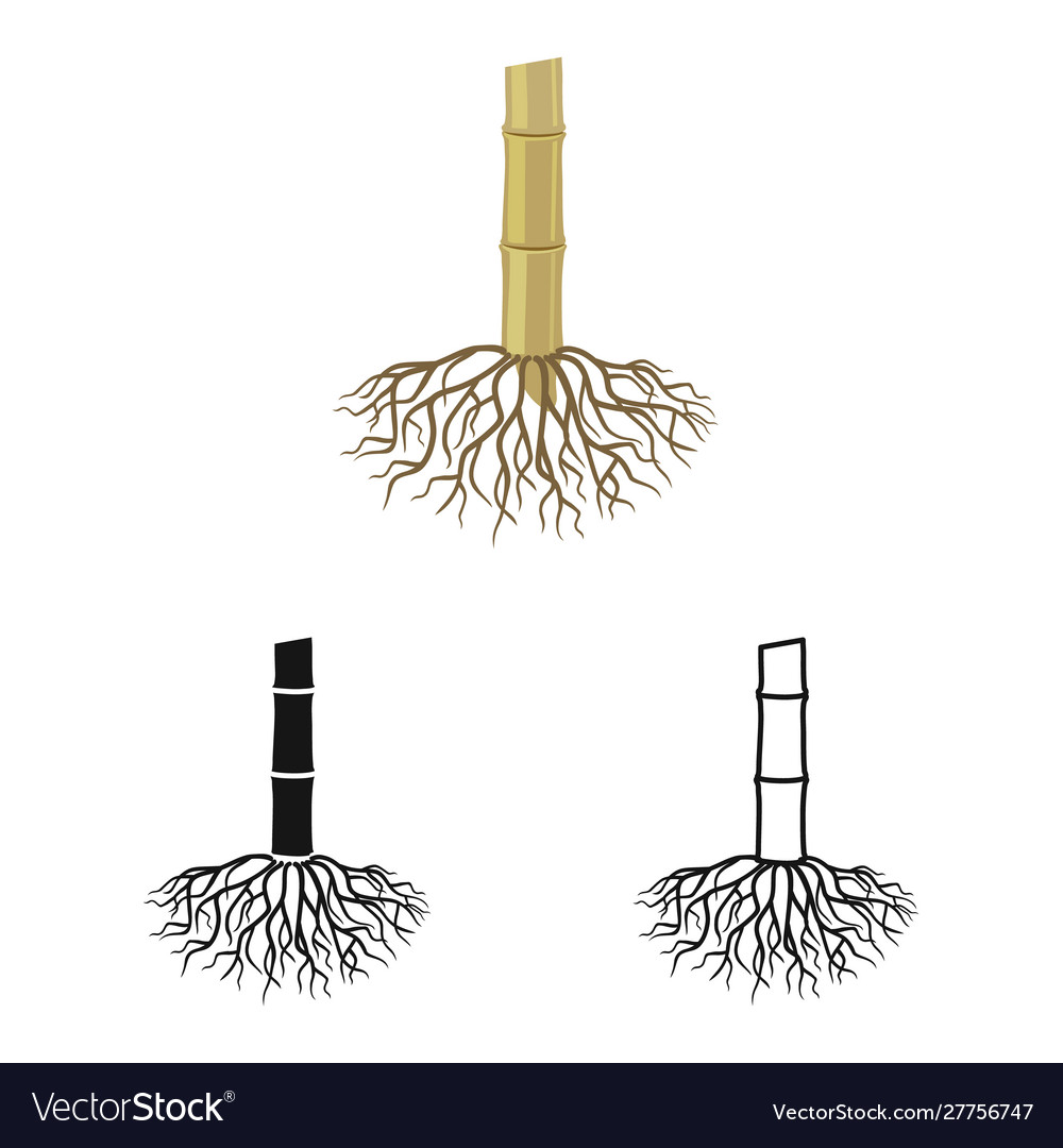 Design root and sugar sign web element