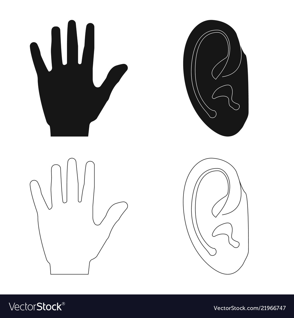 Isolated object of human and part icon set