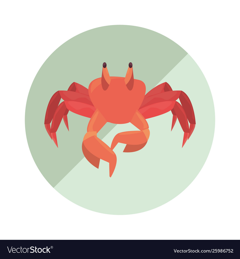 Crab marine wildlife icon