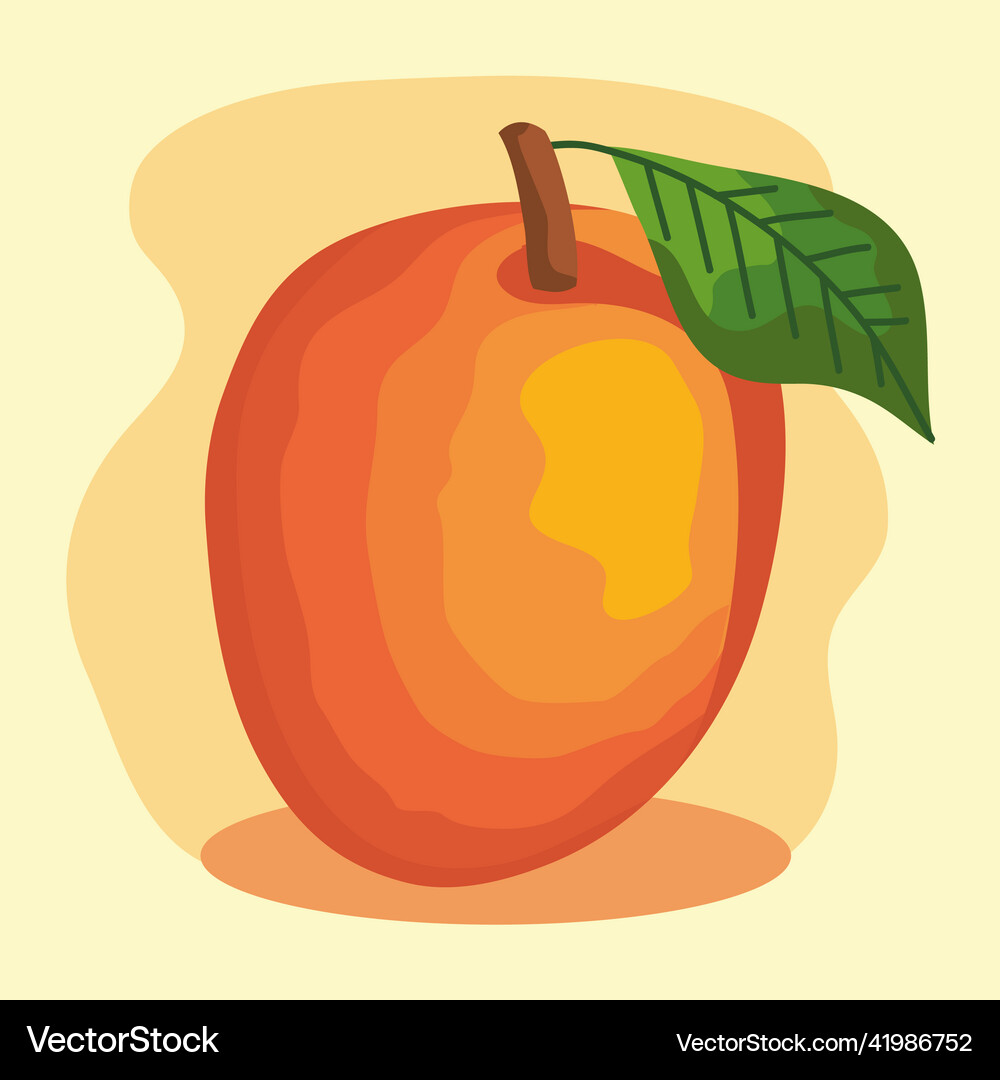 Mango fresh fruit Royalty Free Vector Image - VectorStock