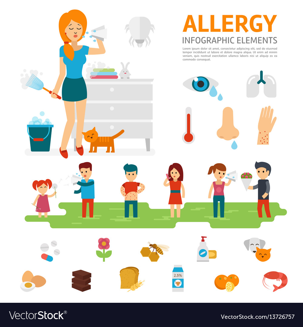 Allergy Infographic Elements Flat Design Vector Image