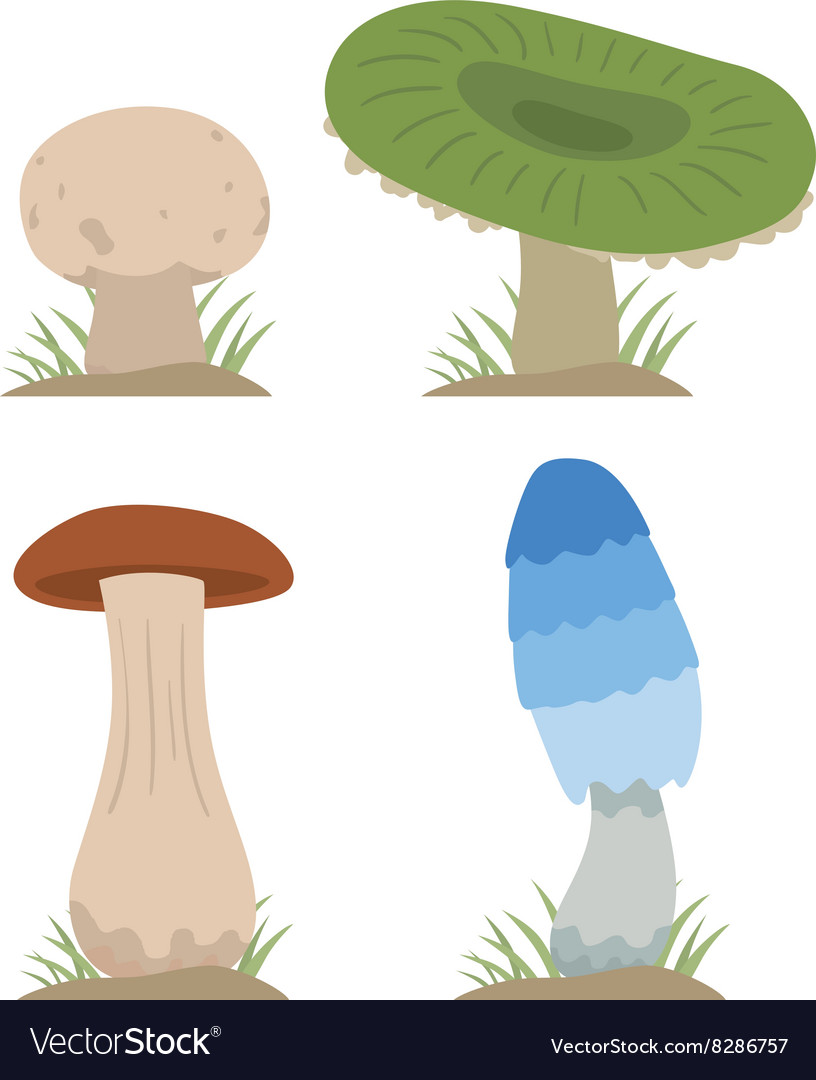 Mushrooms set different types