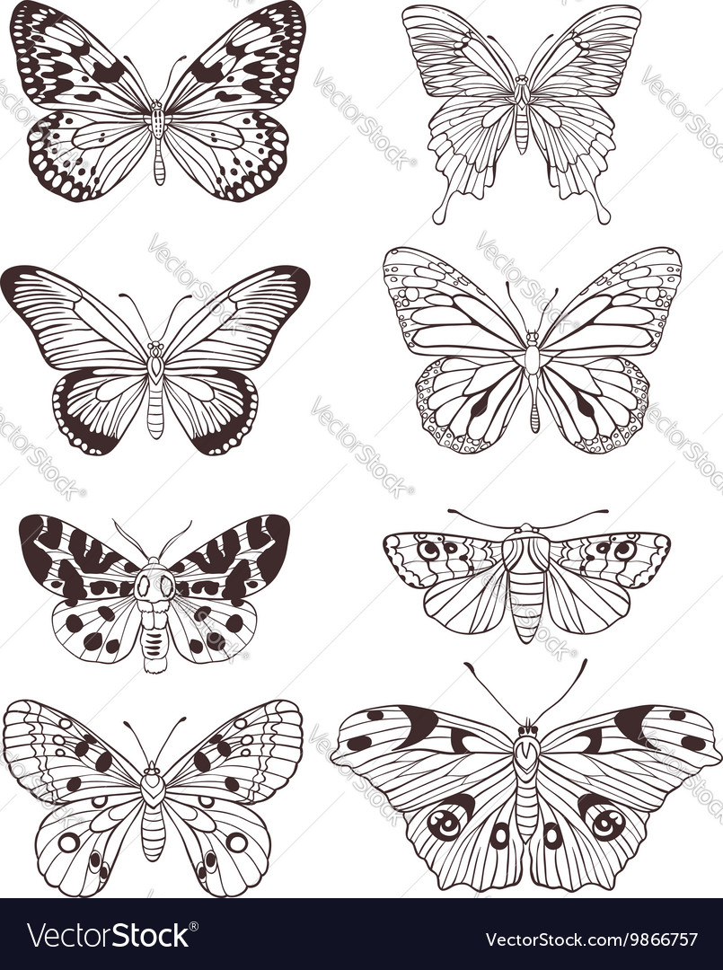 Set of hand drawn butterflies