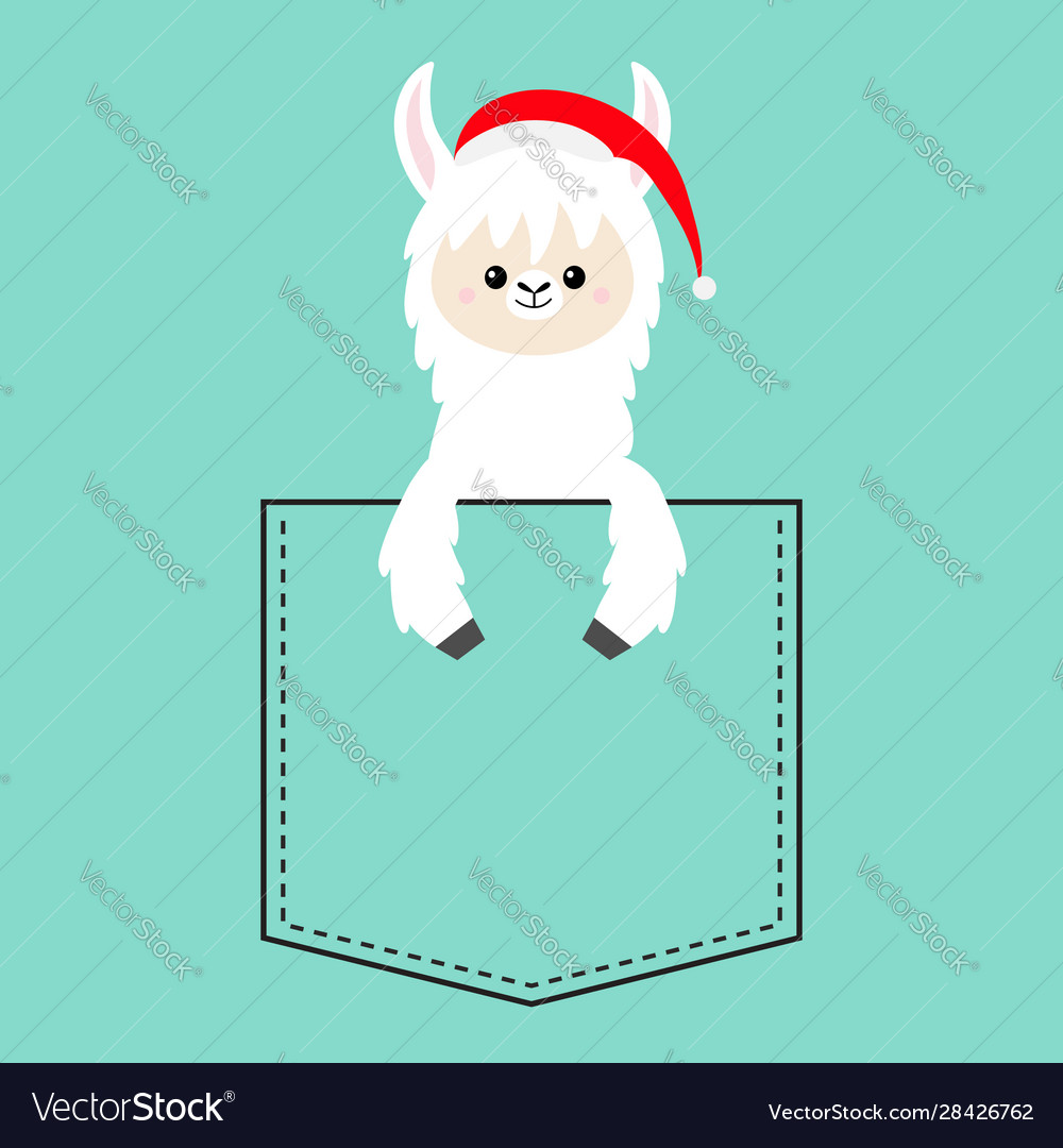 Alpaca llama sitting in pocket santa claus