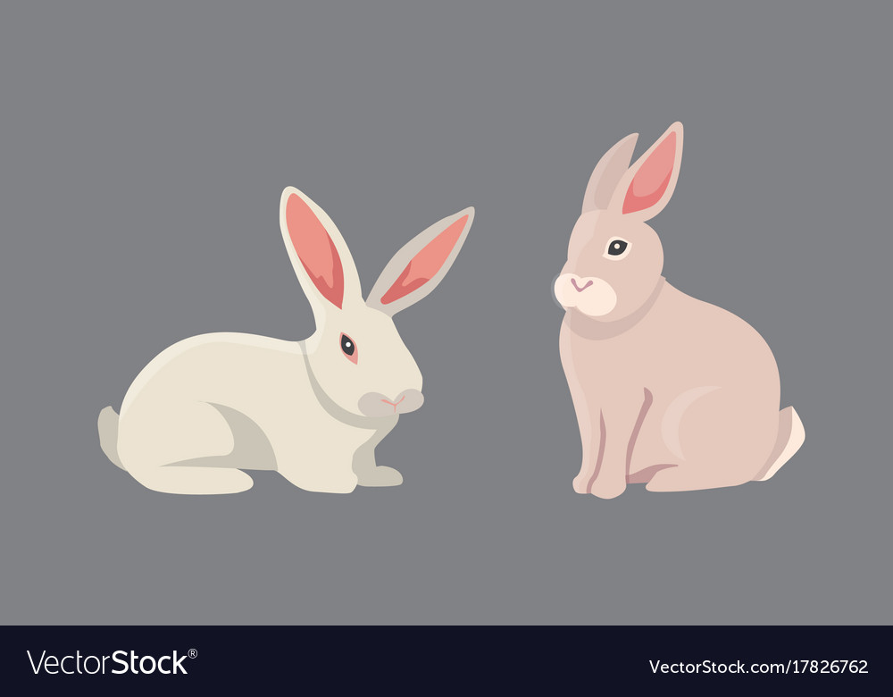 Cartoon rabbits different