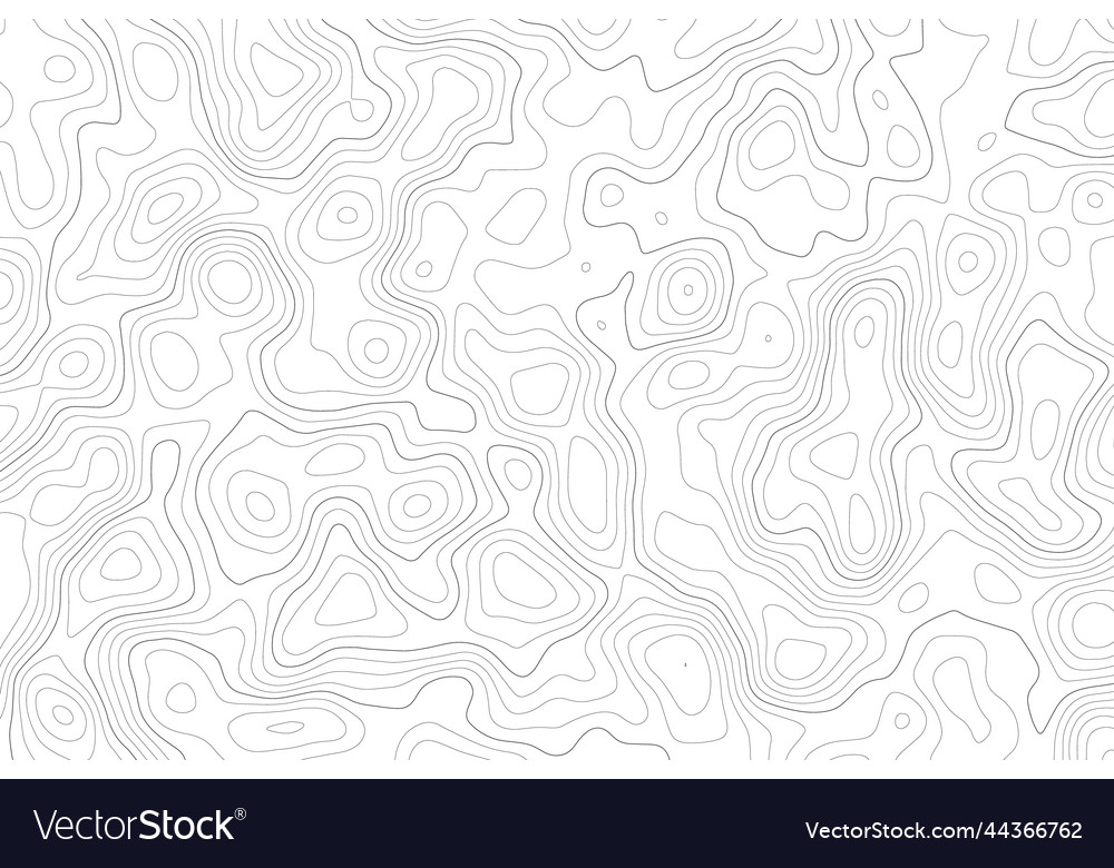 Topography map on white background contour line Vector Image