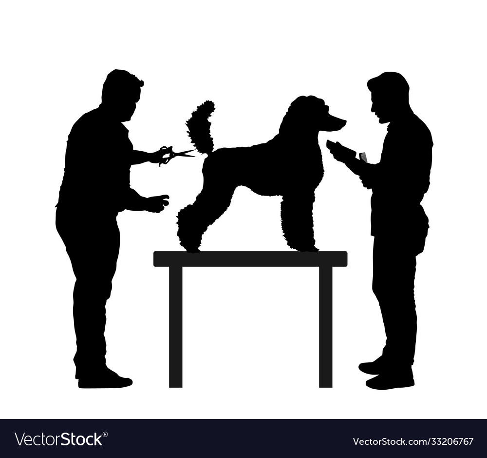 Grooming Hairdressing French Poodle Silhouette Vector Image
