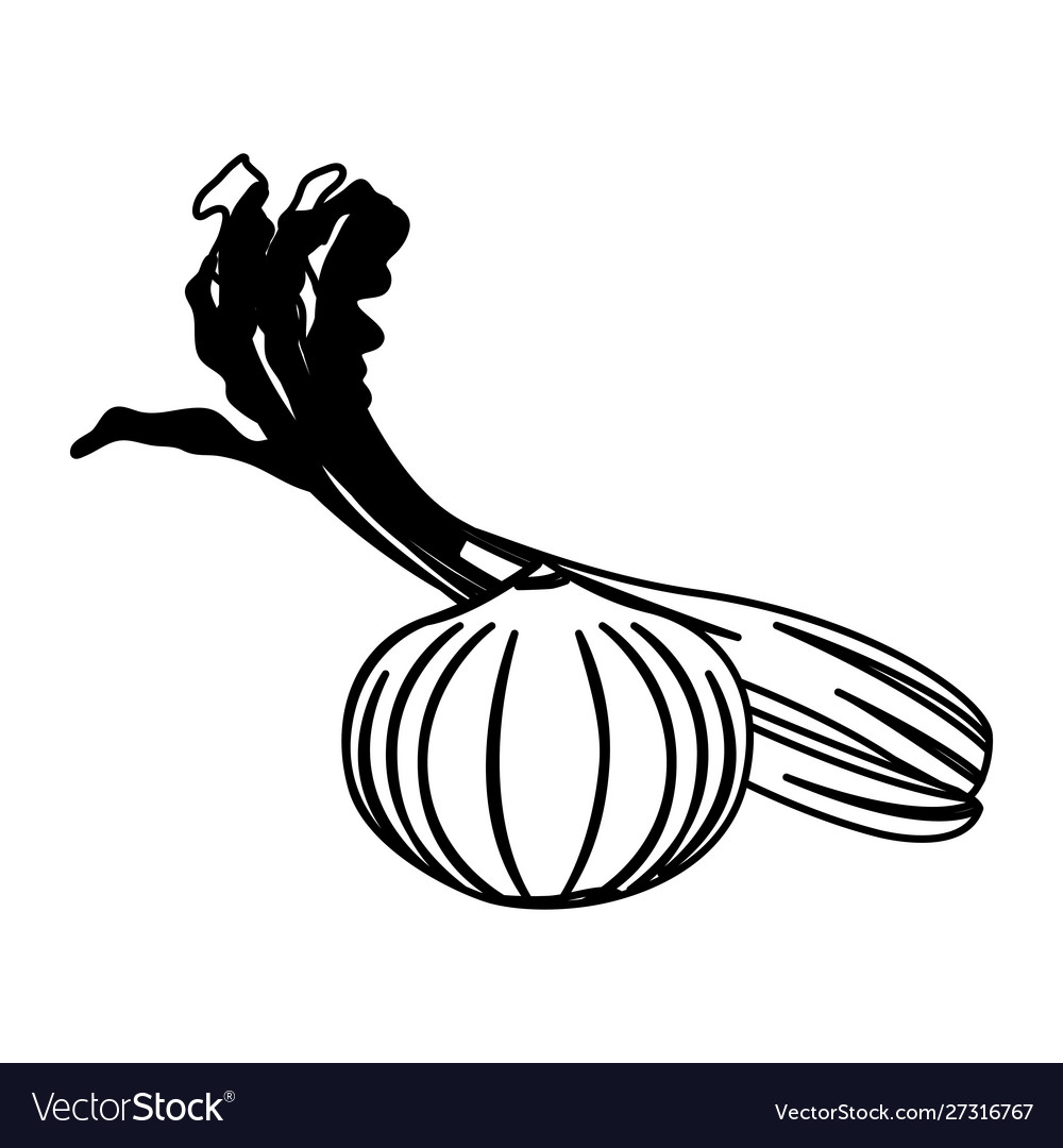 Isolated onion and celery icon design