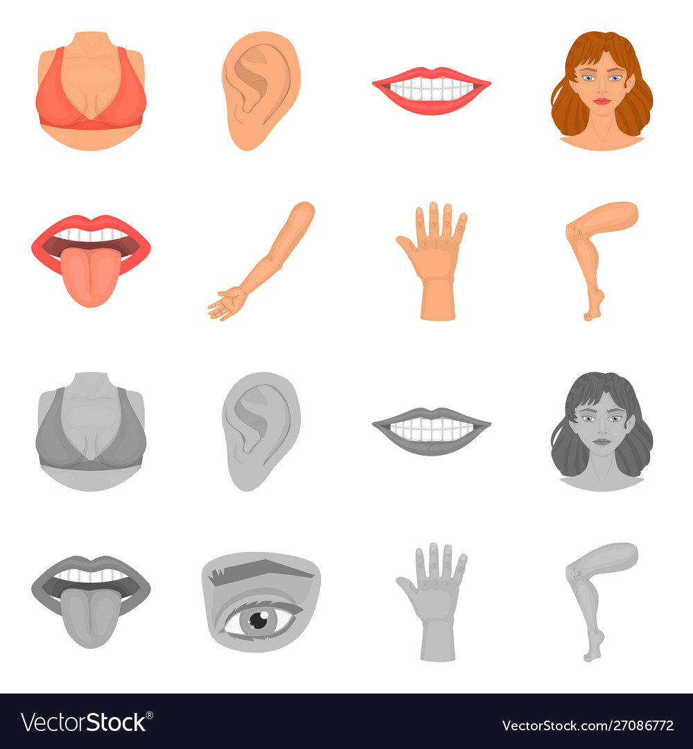 Isolated object body and part symbol set vector image Isolated object body and part symbol set