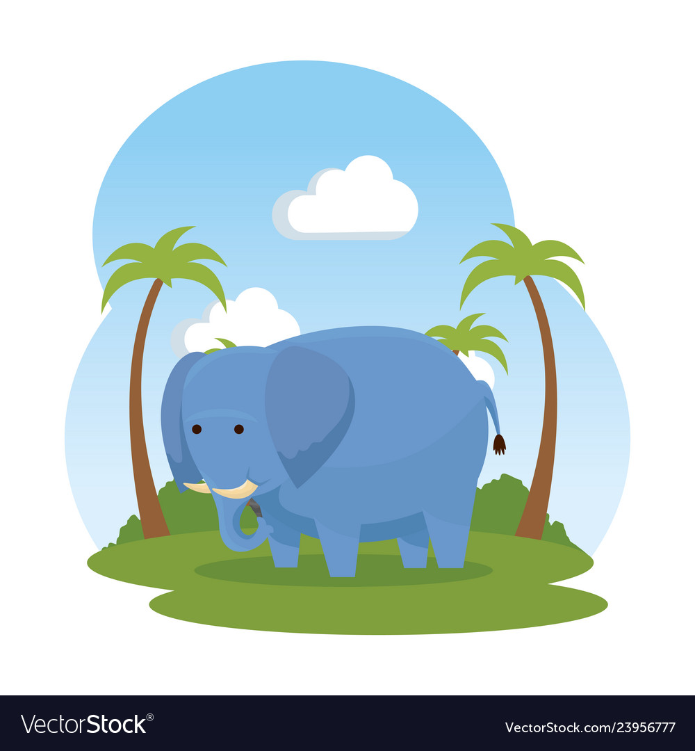 African elephant in savannah wild character Vector Image