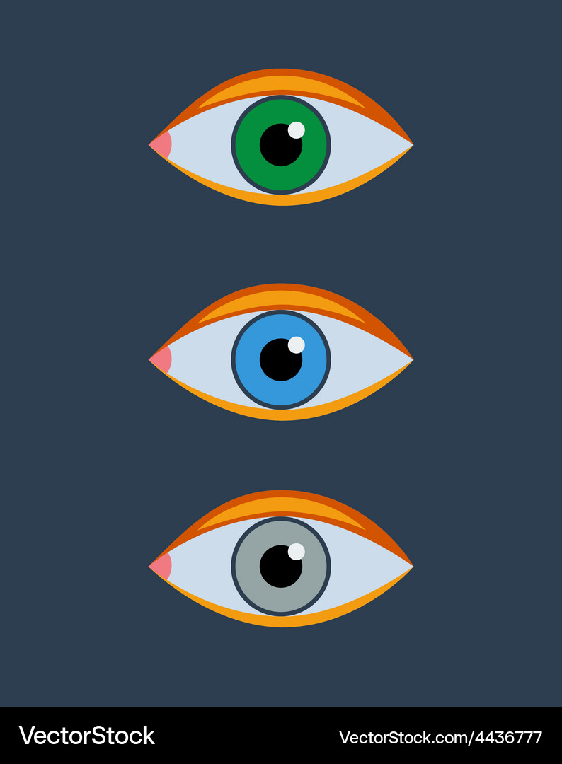 Eye Vector3 Eye Royalty Free Vector Image - VectorStock