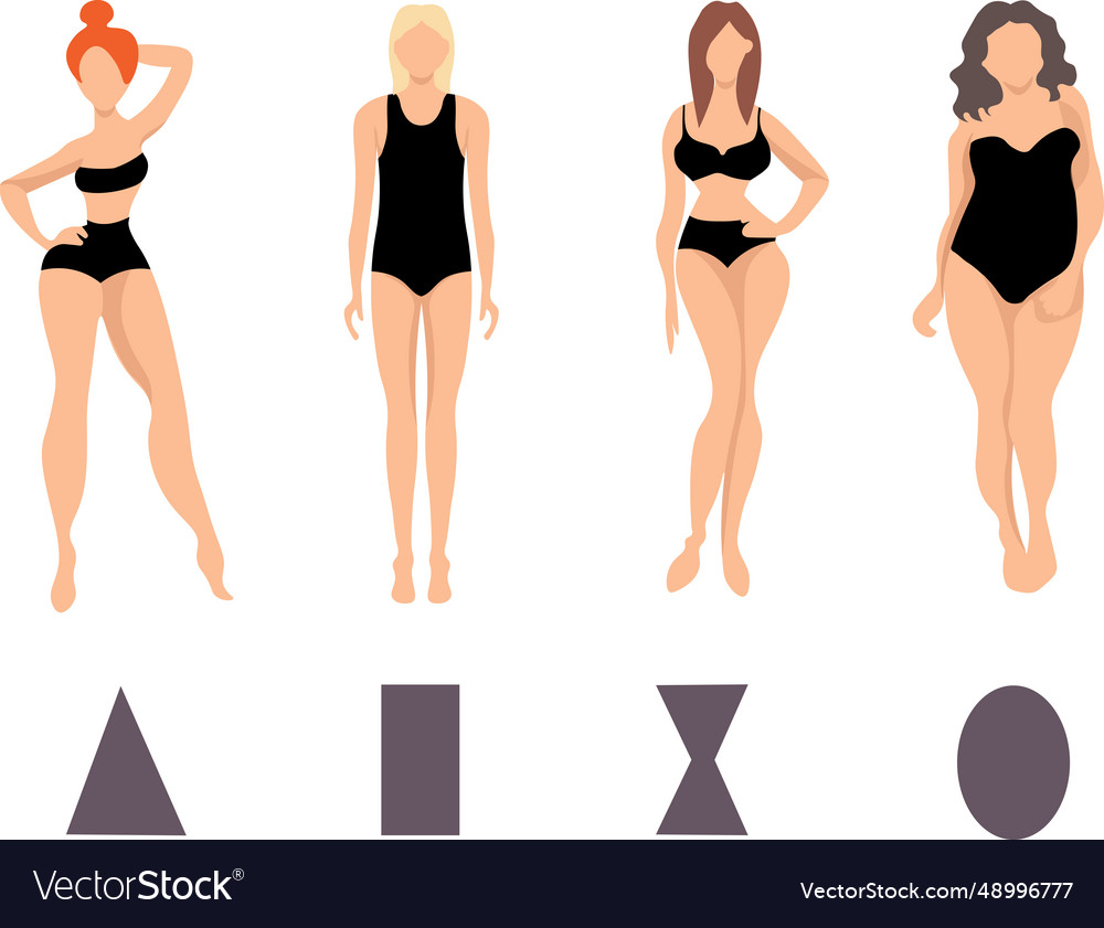 Female body types