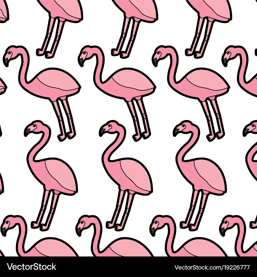 Flamingo bird tropical pattern image Royalty Free Vector