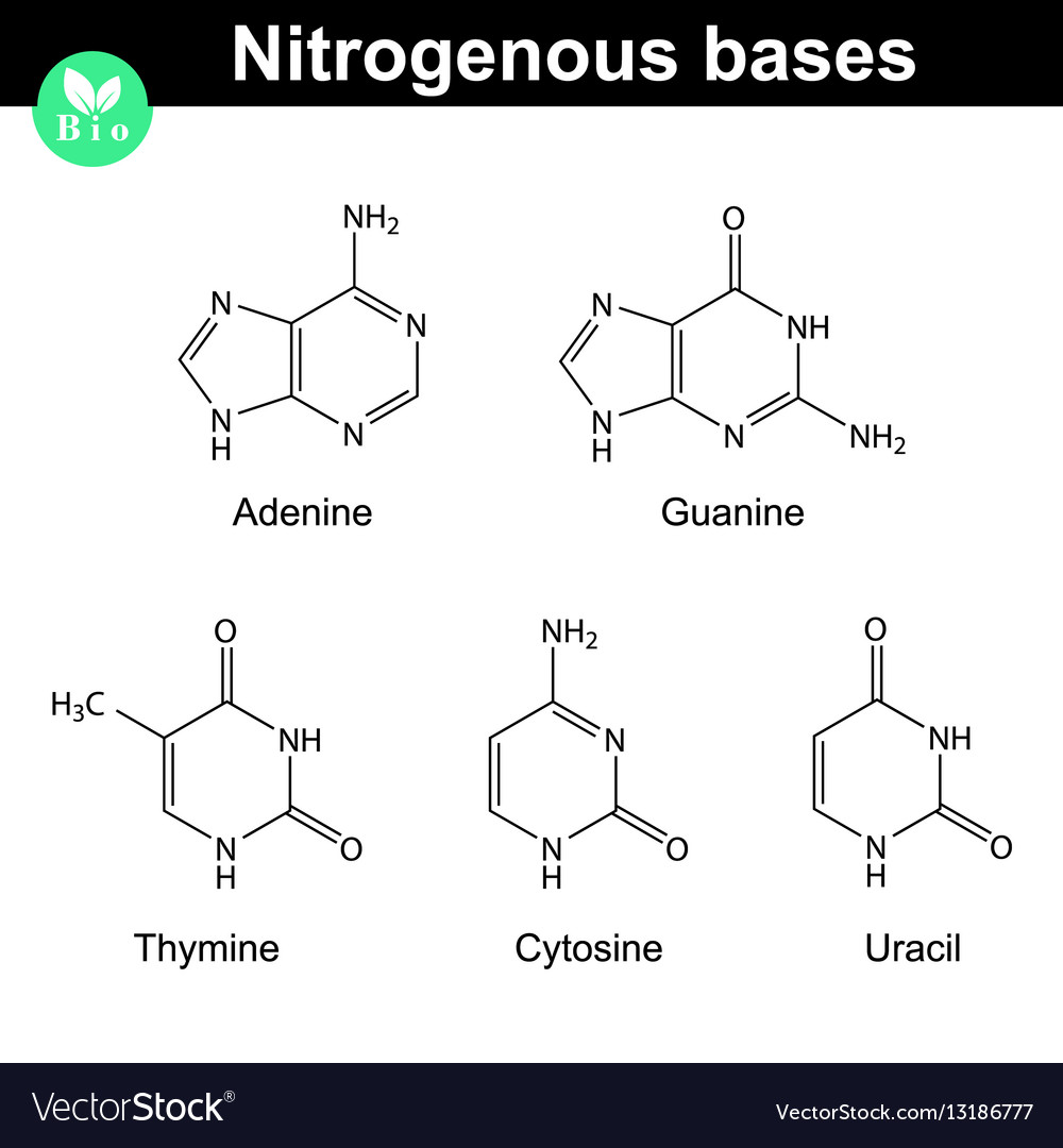 molecular structure of nitrogen