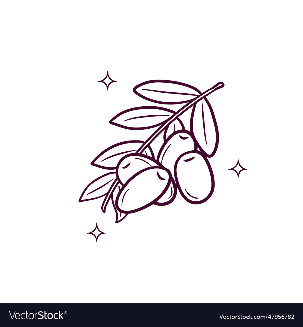 Hand drawn olive doodle sketch Royalty Free Vector Image