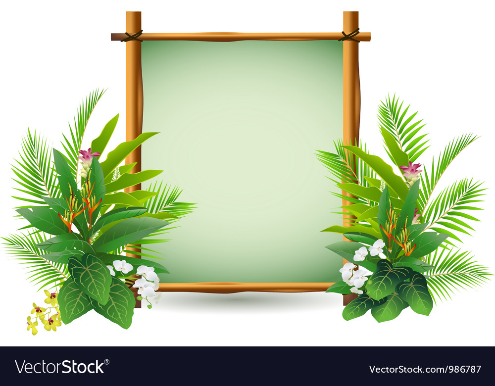 Beauty decoration with tropical plant Royalty Free Vector