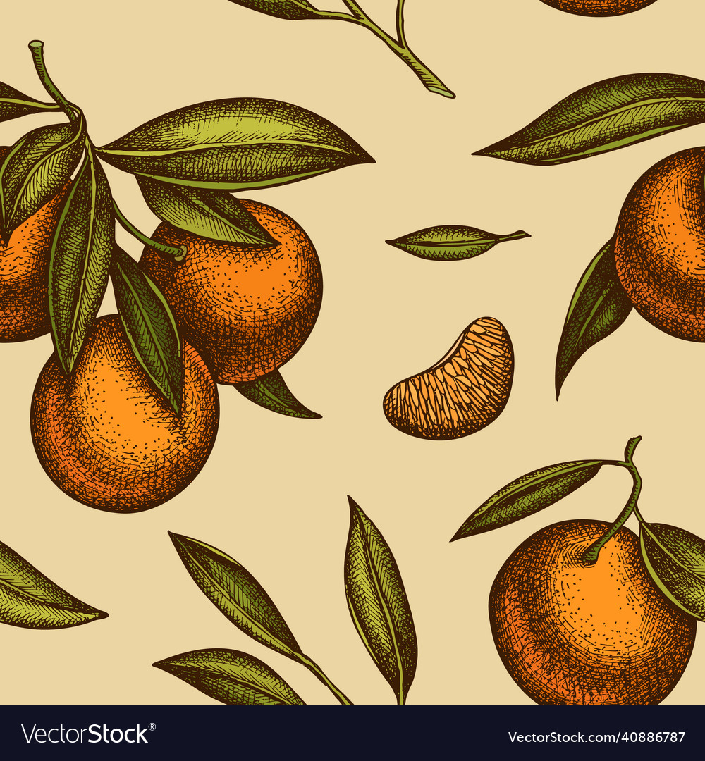 Citrus seamless pattern background design vector image Citrus seamless pattern background design