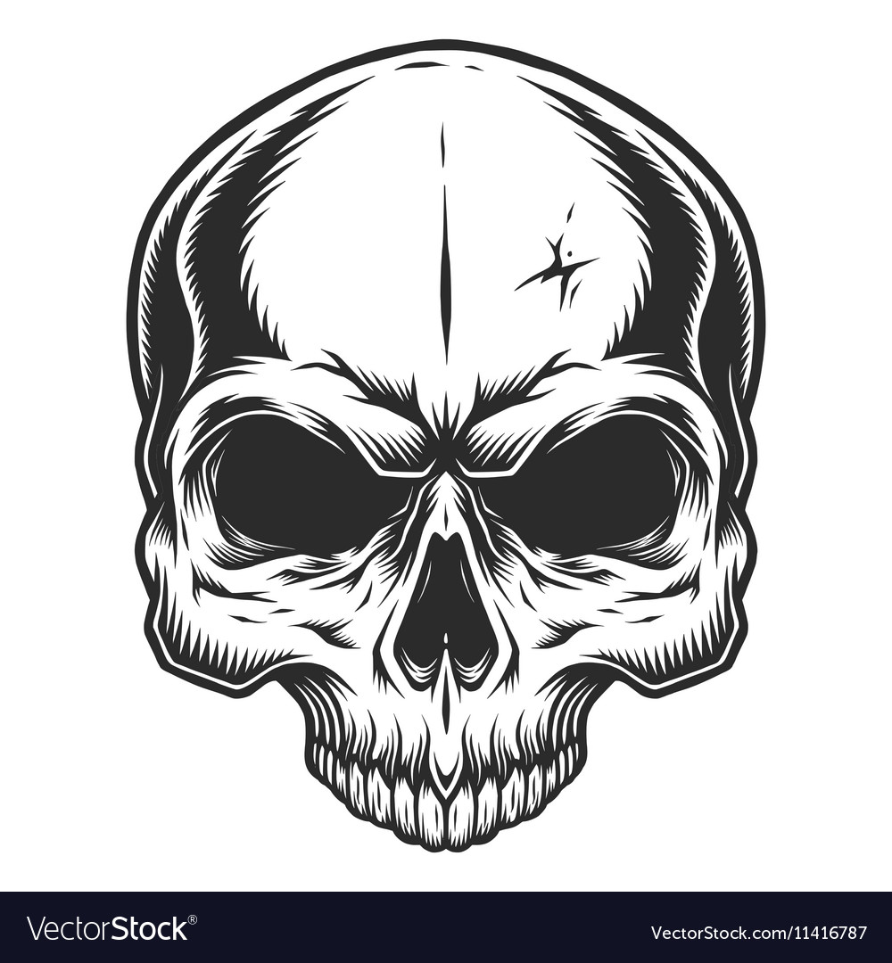 Download Monochrome of skull Royalty Free Vector Image - VectorStock