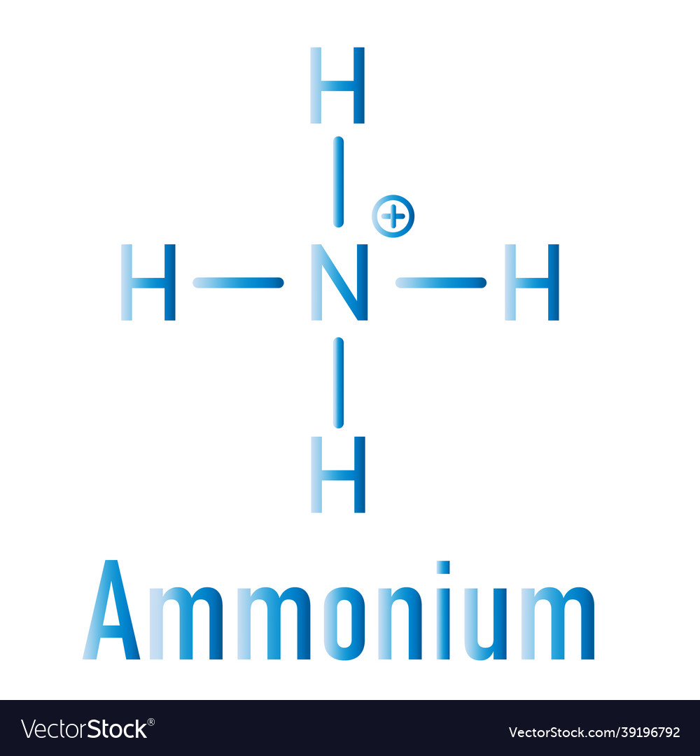 Ammonium cation skeletal formula Royalty Free Vector Image