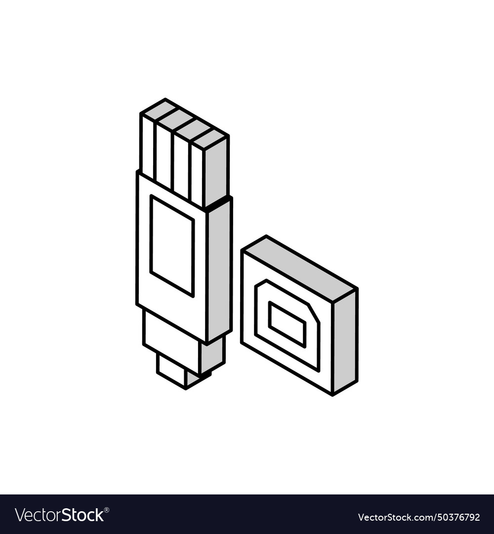 Usb type b isometric icon Royalty Free Vector Image