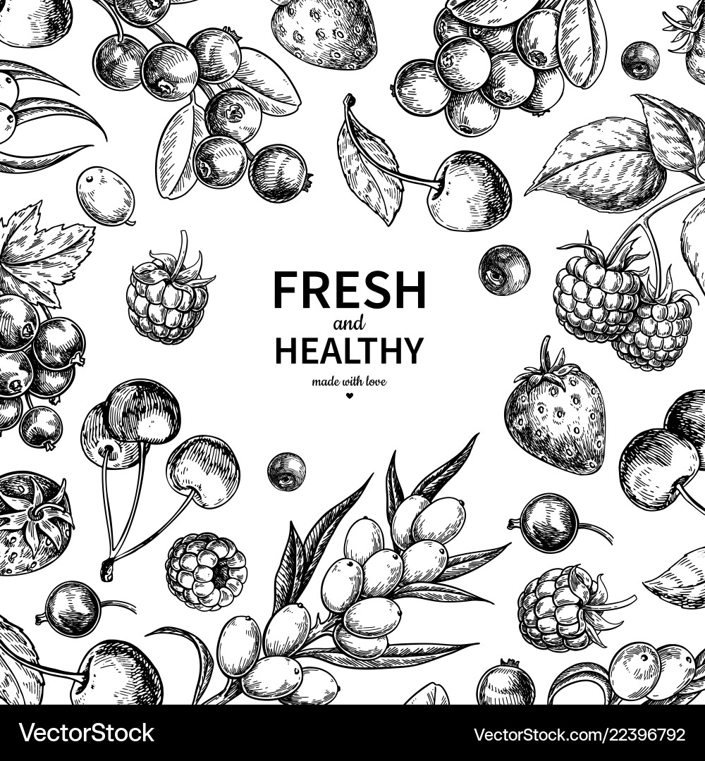 Wild berry drawing hand drawn vintage Royalty Free Vector