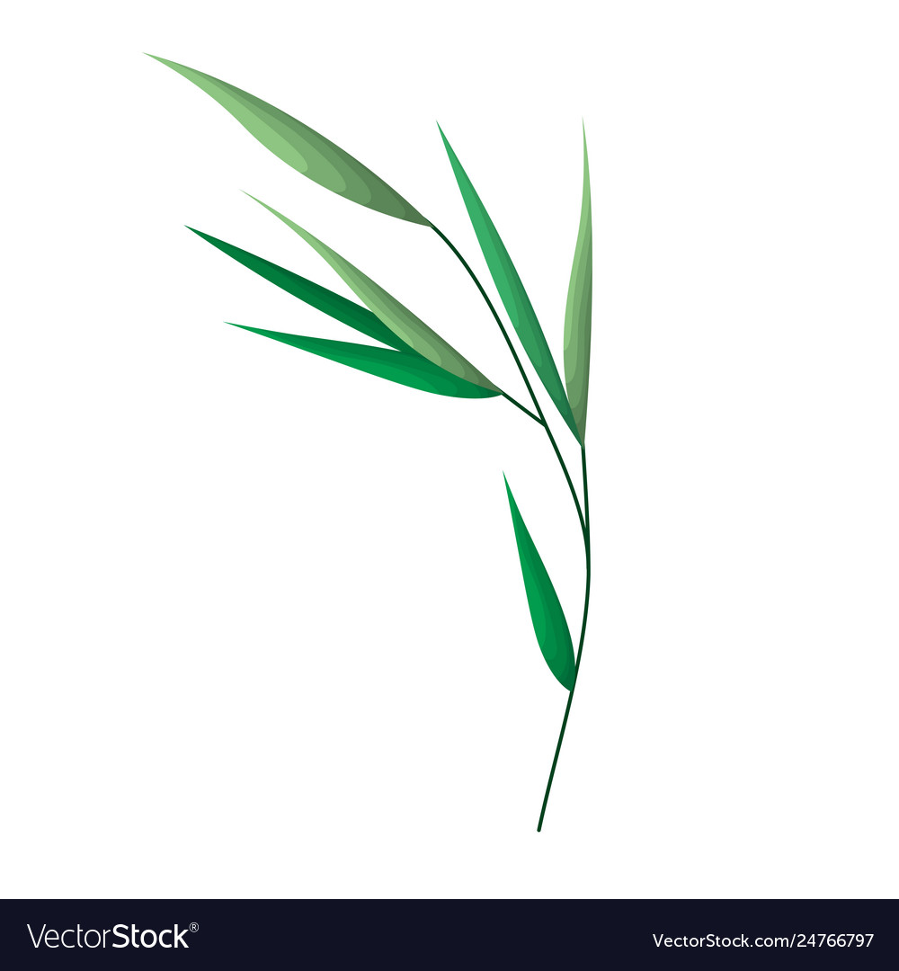 Branch with leafs isolated icon Vector Image Branch with leafs isolated icon