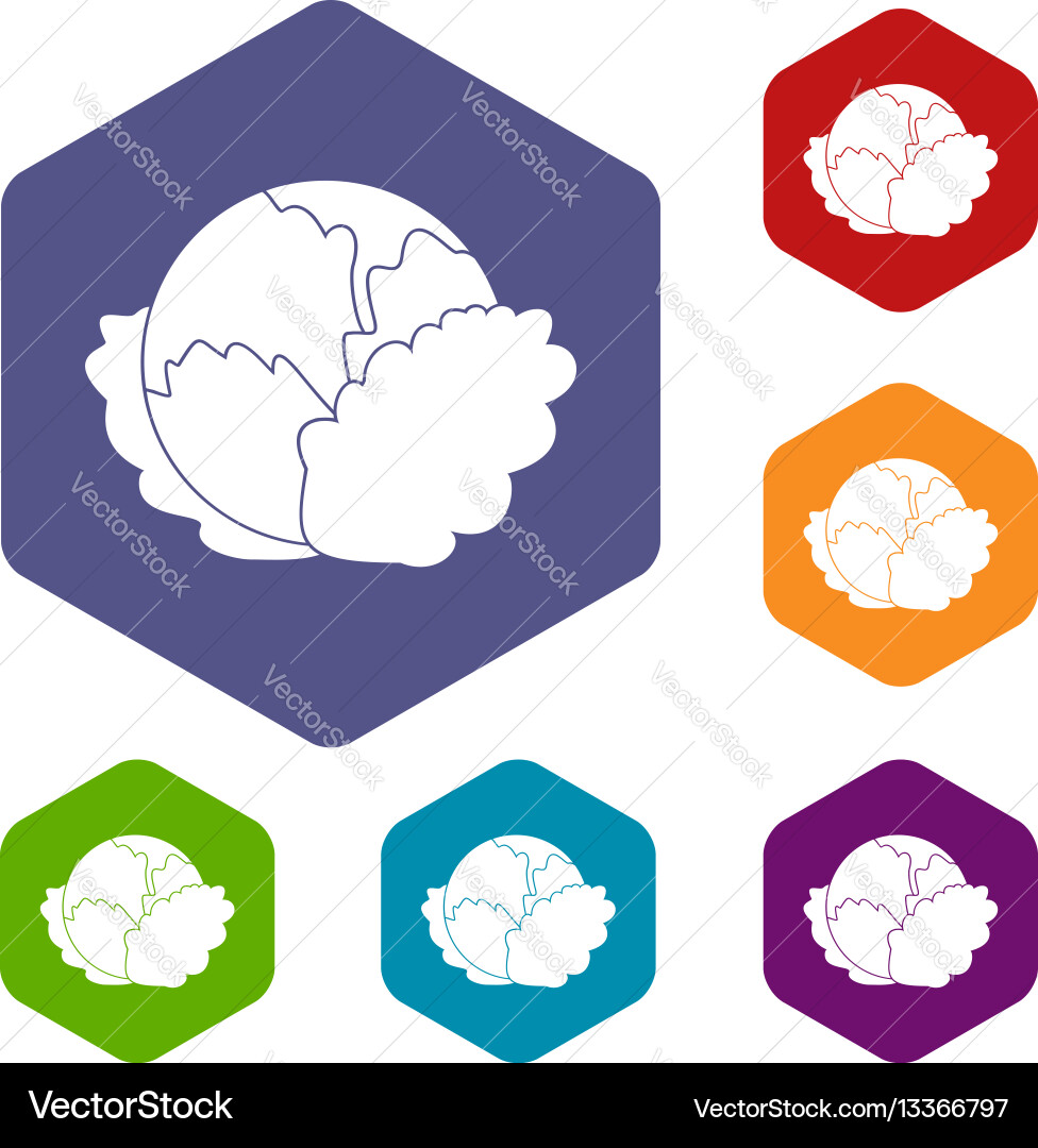 Cabbage icons set Royalty Free Vector Image - VectorStock