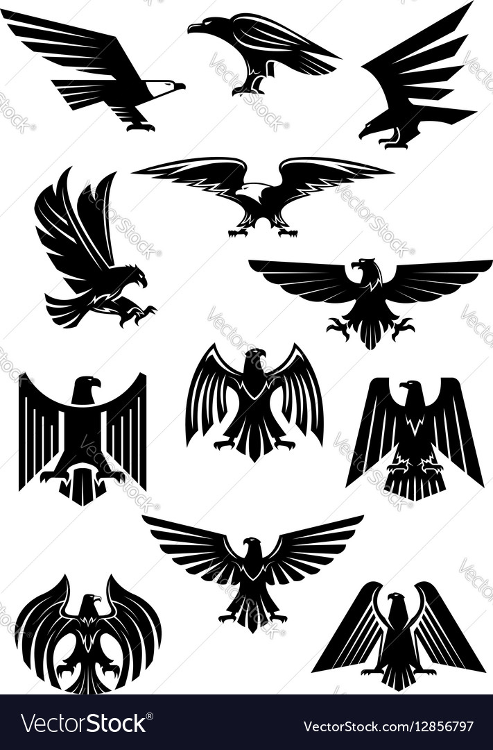 Eagle or falcon aquila or hawk heraldic badge Vector Image