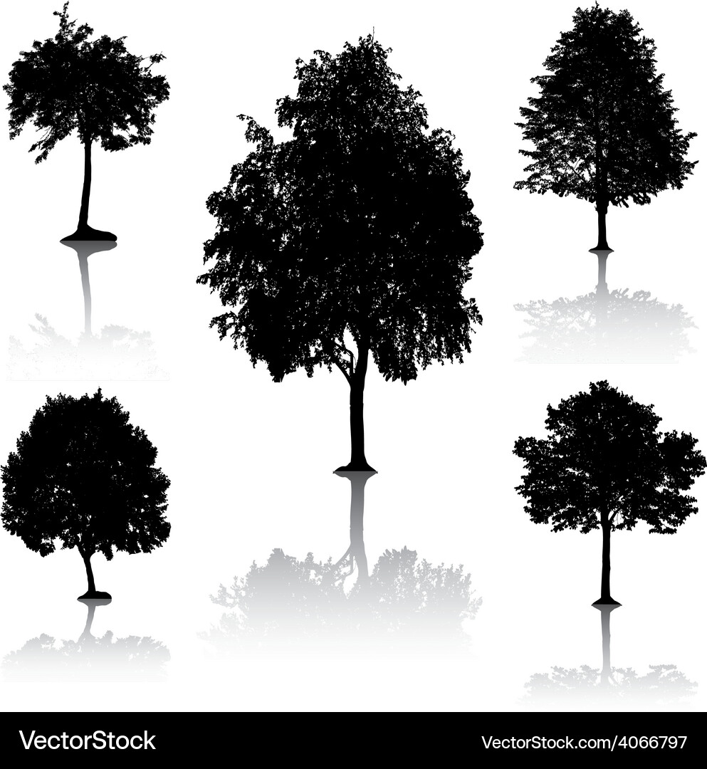 Tree silhouettes Royalty Free Vector Image - VectorStock