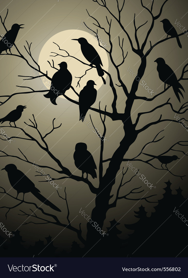 Birds on the tree Royalty Free Vector Image - VectorStock