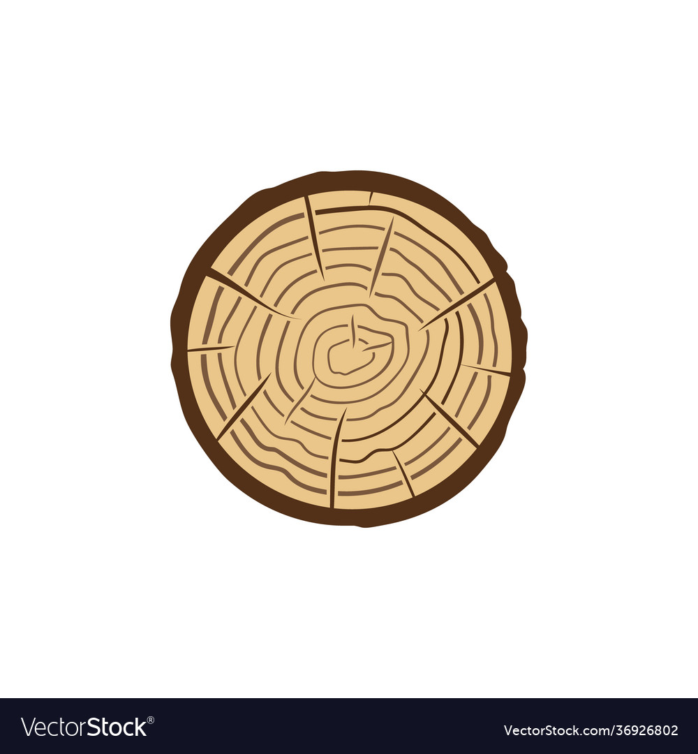 Tree Trunk Cross-Section with Rings