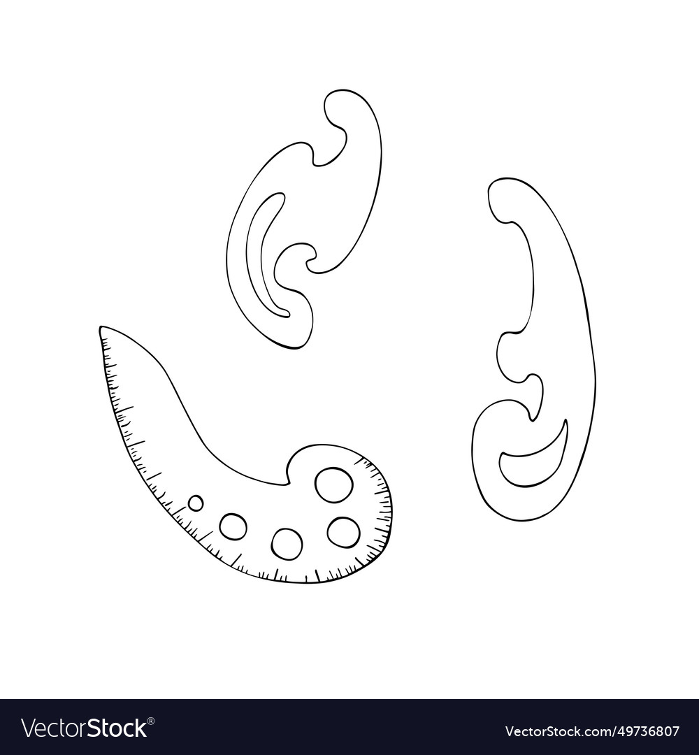 Handdrawn french curve tailor ruler set atelier Vector Image