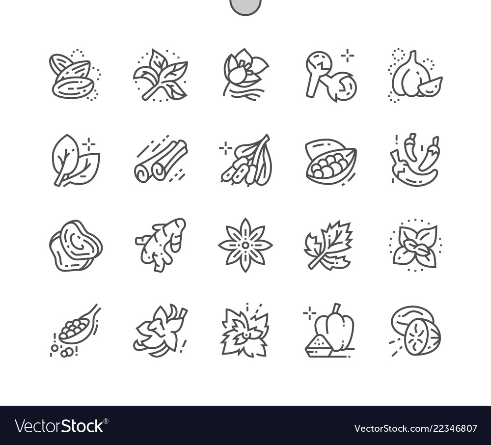 Herbs and spices well-crafted pixel perfect Vector Image