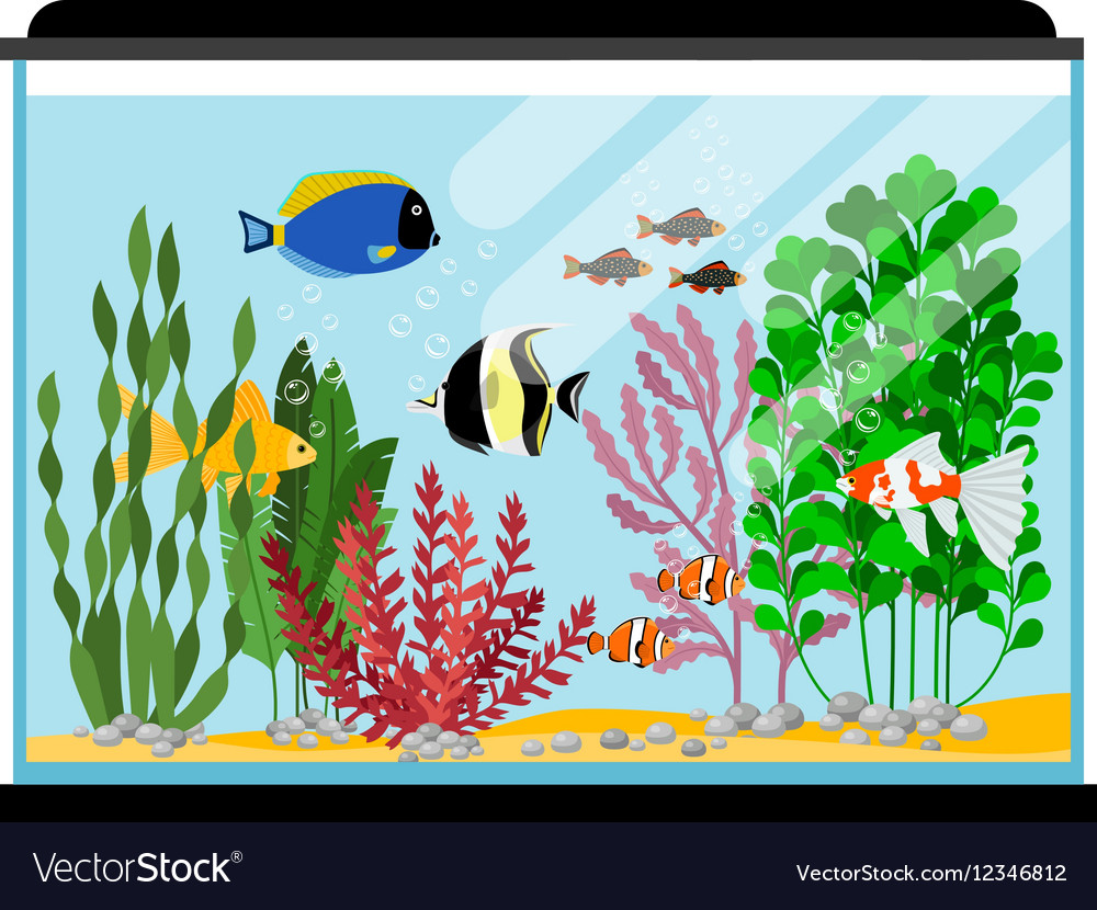 Download Cartoon fishes in aquarium Saltwater or Royalty Free Vector