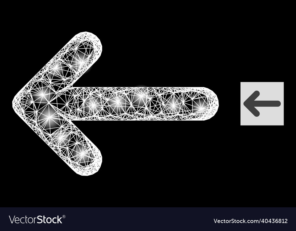 Glossy irregular mesh left arrow with lightspots vector image Glossy irregular mesh left arrow with lightspots