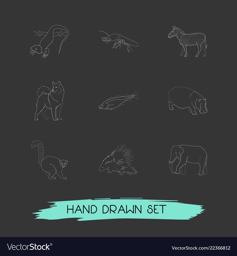 Set of zoo icons line style symbols with hippo
