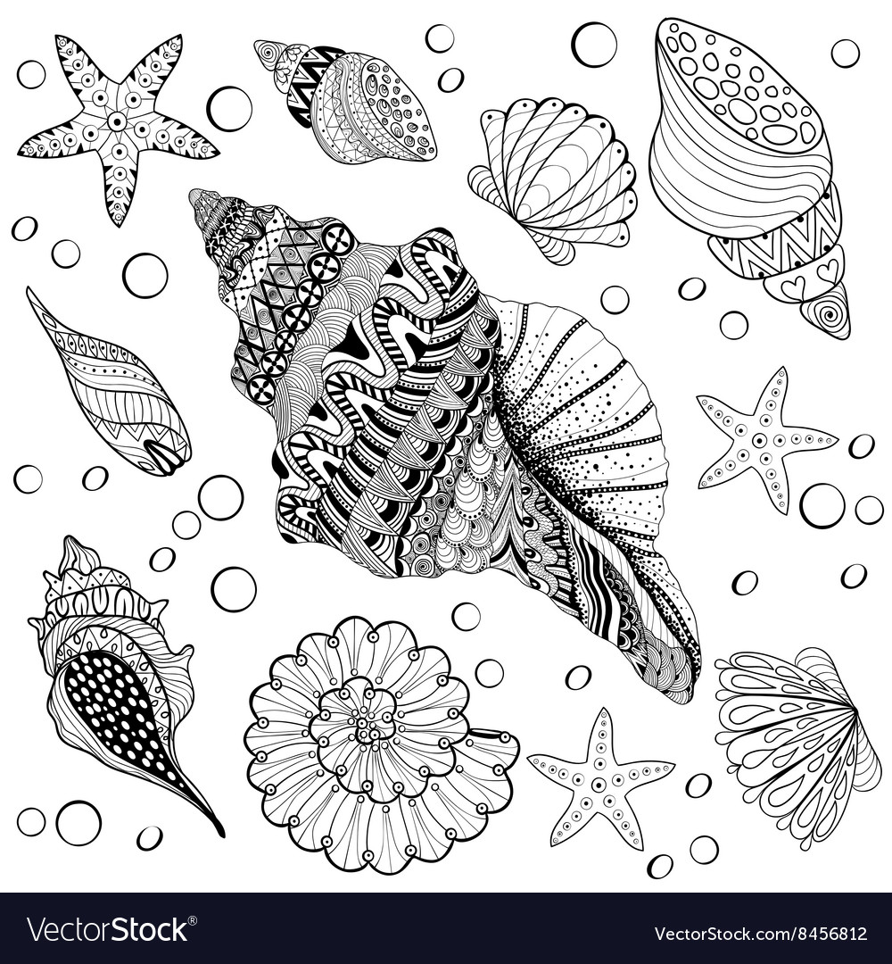 Zentangle Seashell Pattern