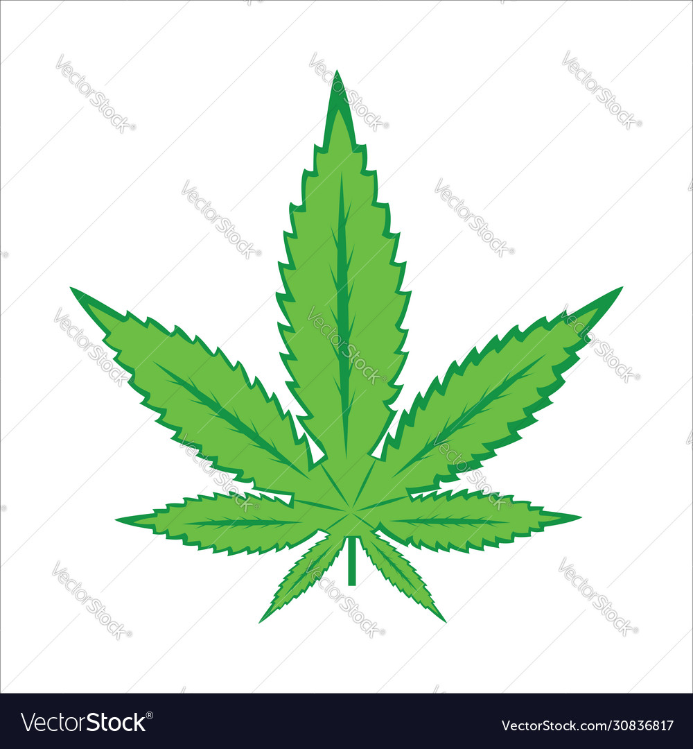Seed and marijuana vector image Seed and marijuana
